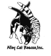 alley cats rescue southport